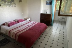 IMG_2515 IMG_2515