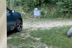 IMG_2520 IMG_2520