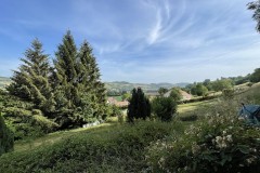 IMG_2523 IMG_2523