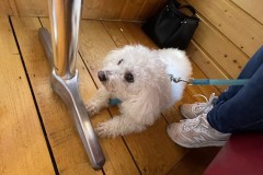 IMG_1389 IMG_1389