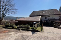 IMG_1406 IMG_1406