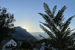 IMG_3443 IMG_3443