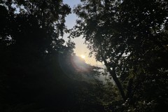 IMG_3444 IMG_3444