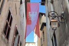 IMG_3509 IMG_3509