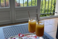 IMG_2870 IMG_2870