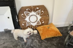 IMG_0700 IMG_0700