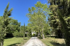 IMG_2355 IMG_2355