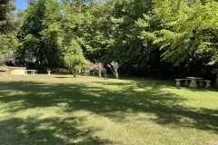 IMG_2357 IMG_2357