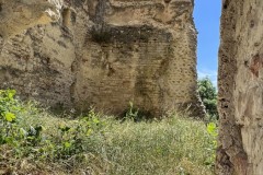 IMG_0781 IMG_0781
