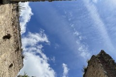 IMG_0785 IMG_0785