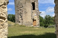 IMG_0788 IMG_0788