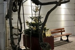 IMG_9670 IMG_9670