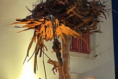 IMG_9678 IMG_9678