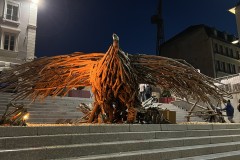 IMG_9680 IMG_9680