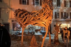 IMG_9693 IMG_9693