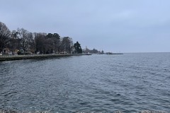 IMG_9872 IMG_9872