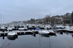 IMG_9873 IMG_9873