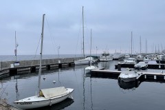 IMG_9874 IMG_9874