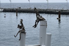 IMG_9885 IMG_9885