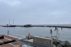 IMG_9886 IMG_9886