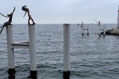 IMG_9892 IMG_9892