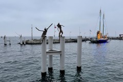 IMG_9896 IMG_9896