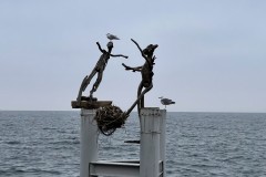IMG_9898 IMG_9898