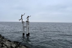 IMG_9899 IMG_9899
