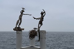 IMG_9902 IMG_9902