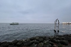 IMG_9913 IMG_9913