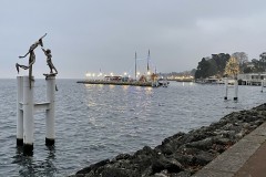 IMG_9914 IMG_9914
