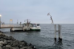 IMG_9916 IMG_9916