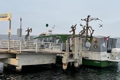 IMG_9917 IMG_9917