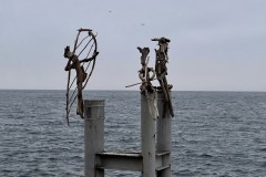 IMG_9920 IMG_9920