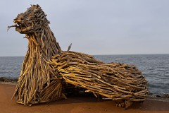 IMG_9925 IMG_9925