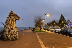 IMG_9927 IMG_9927
