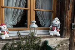 IMG_7241 IMG_7241
