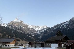 IMG_7242 IMG_7242