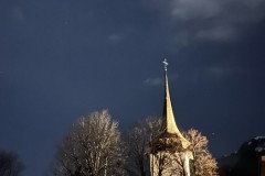 IMG_7272 IMG_7272