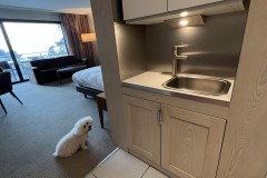 IMG_9654 IMG_9654