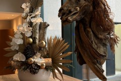 IMG_9665 IMG_9665