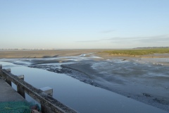 IMG_2399 IMG_2399