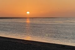 IMG_6280 IMG_6280