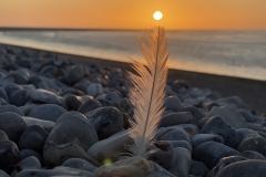 IMG_8180 IMG_8180
