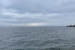 IMG_9970 IMG_9970