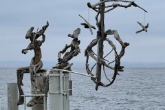 IMG_9972 IMG_9972