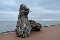 IMG_9974 IMG_9974