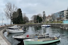 IMG_9980 IMG_9980