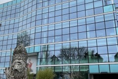 IMG_9981 IMG_9981