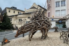 IMG_9986 IMG_9986